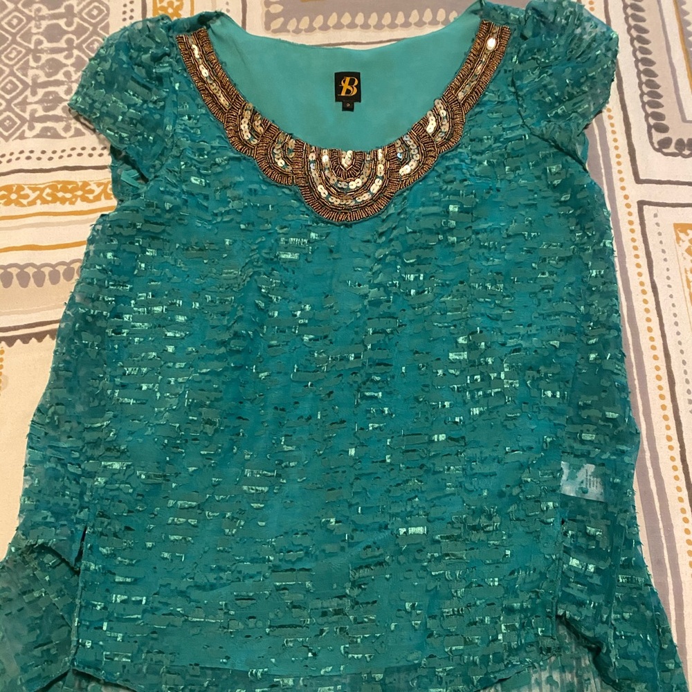 Sachin and Babi Blouse size 2.
